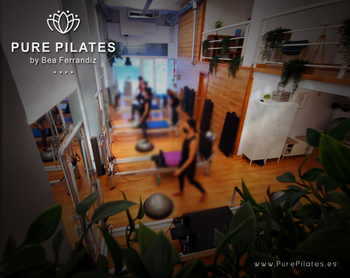 PILATES PARA PRINCIPIANTES · Pure Pilates