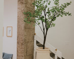 INUAGURACIÓN DEL NUEVO CENTRO DE PURE PILATES · Pure Pilates